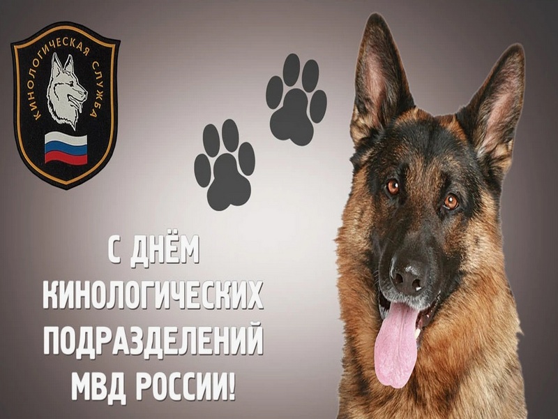Поздравление Главы МО с  Днём кинолога.