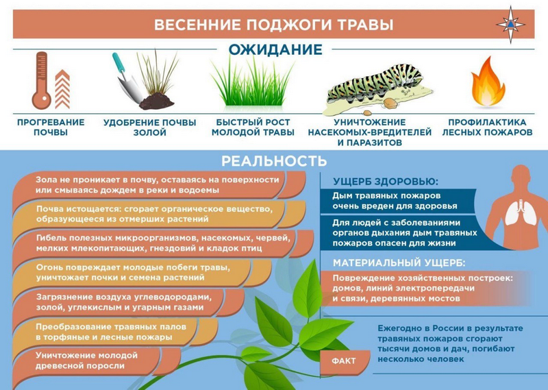 Весенние палы – настоящая беда для всего живого.