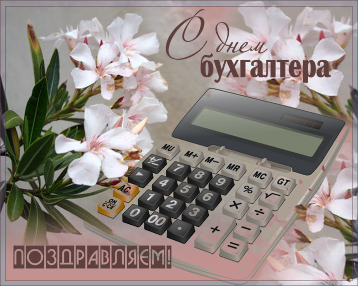 Поздравление Главы МО с Днем бухгалтера. Поздравление Главы МО с Днем бухгалтера.