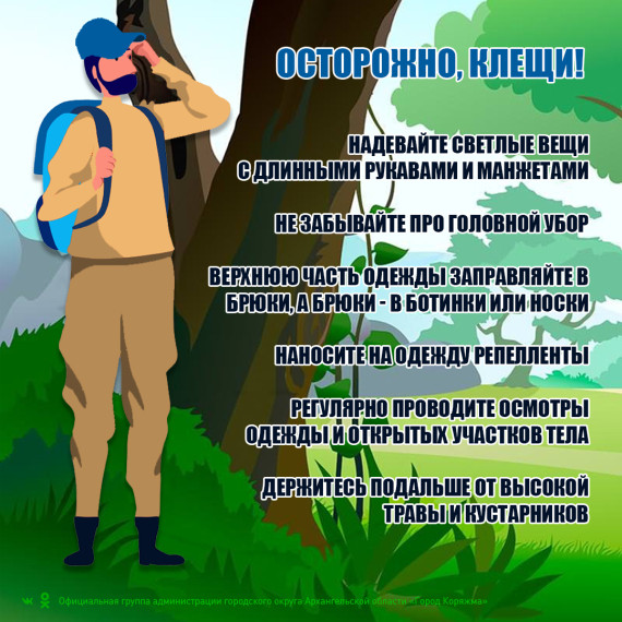 Коряжемцам рассказали, как уберечься от укуса клещей. Коряжемцам рассказали, как уберечься от укуса клещей.