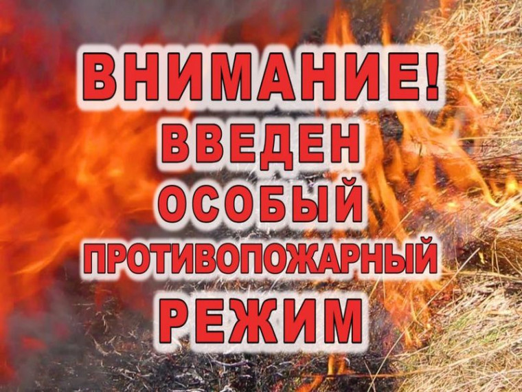 В Поморье объявлен особый противопожарный режим!. В Поморье объявлен особый противопожарный режим!.
