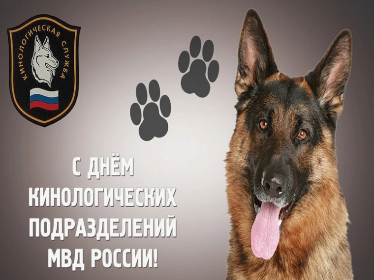 Поздравление Главы МО с Днём кинолога. Поздравление Главы МО с Днём кинолога.